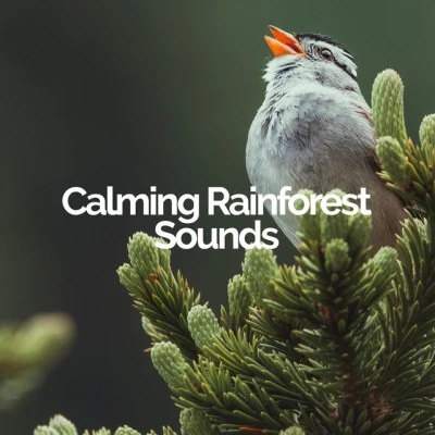 Calming Rainforest SoundsIts RainingThunderstorms and Rain SoundsZen Waters