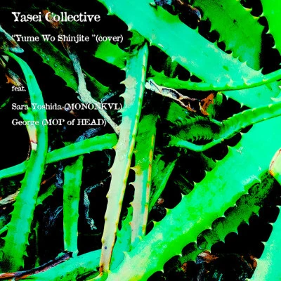 Yasei Collective