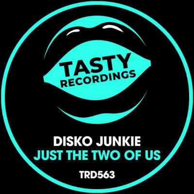 Disko Junkie/Boogie Freaks/Discotron/Serial Thrilla/Jack Le Funk/Giorgio Rodgers/Audio Jacker/Alan Juniortotal disco house, Vol. 1