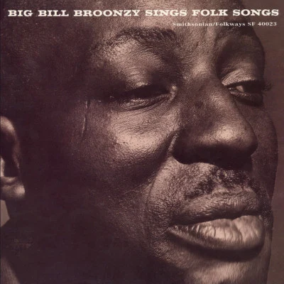 Big Bill BroonzyBull Cow Blues