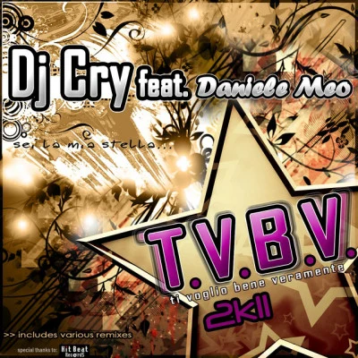 Dj CryDaniele MeoT.V.不.V. 2可11 (J Web remix)