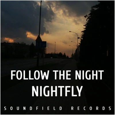 Follow The Nightnight fly (original mix)