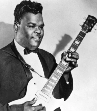 Freddie King/Terry Evans/Big Maybelle/Muddy Waters/B.B. King/J.J. Cale/John Lee Hooker/Johnny Winter/Albert King/Lightnin HopkinsBest Blues Album In The World Ever