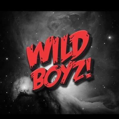 Wild Boyz!Myndsetswerve (original mix)