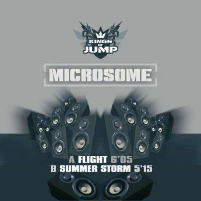 Microsomeflight (original version)