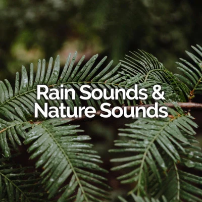 Rain Sounds & Nature Sounds