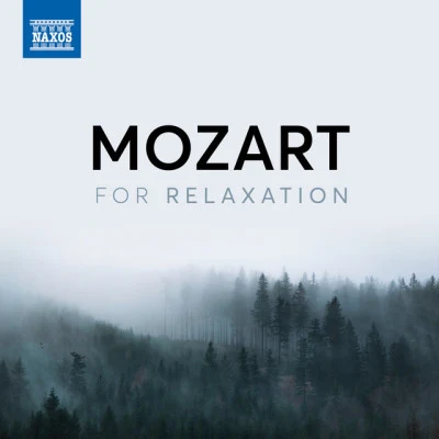 Northern Chamber OrchestraNicholas WardLorraine McAslanViolin Concerto in B-Flat Major, Badley Bb1:Violin Concerto in B-Flat Major, Badley Bb1: III. Vivace