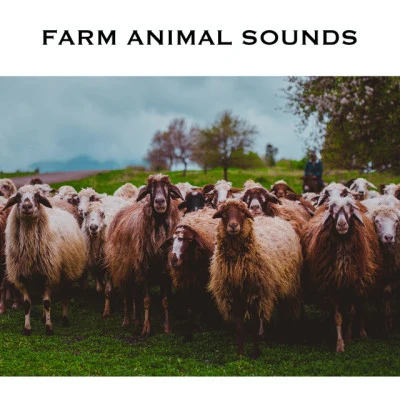 Farm Animal Sounds