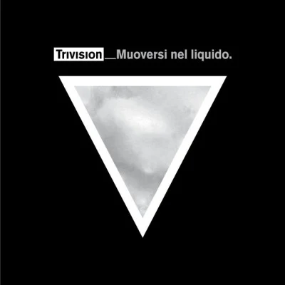 TrivisionDisaster (Original Mix)