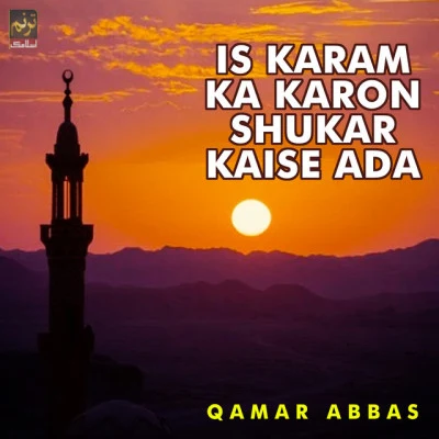 Qamar Abbas