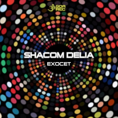 Shacom DeliaTrollhey (Original Mix)