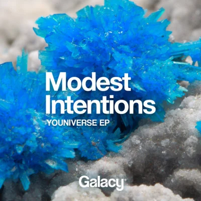 Modest Intentions/Dayzero/Kairos/Random/Minty/Linear/Simplification/Tokalosh/DJ Panik/DezineBest of LW Liquid Drum & Bass IV