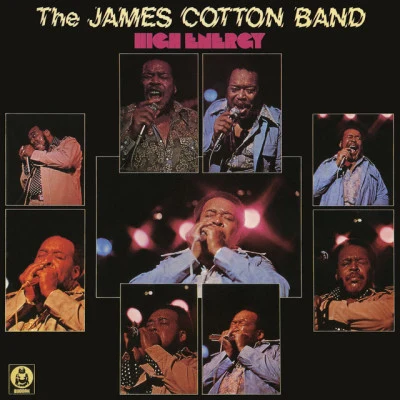 The James Cotton BandGot My Mojo Working (Live)