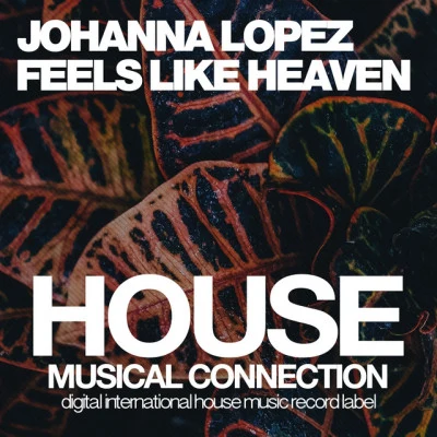 Johanna LopezFeels Like Heaven (Teddy Brown Remix)