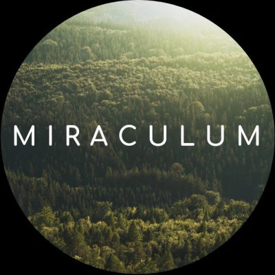 MiraculuMHologram