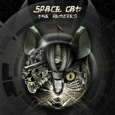 Space CatFIRE BALL (Remix)