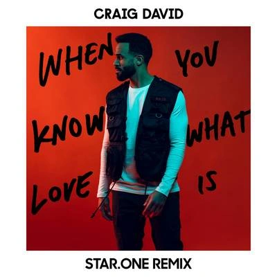 Craig DavidWhen You Know What Love Is (Star.One Remix)