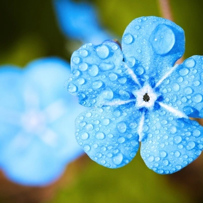 Mindfulness Meditation WorldCity Rains