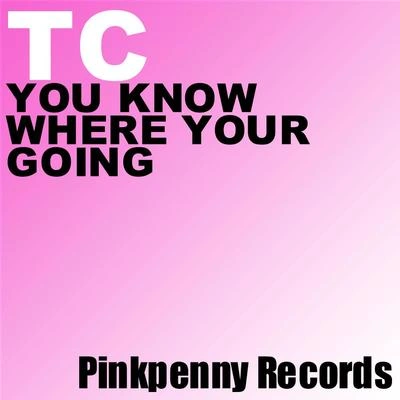 TCYou Know Where Your Going (Original Mix)