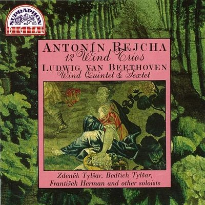 Bedrich TylsarQuintet for Oboe, Three French Horns and Bassoon: II. Adagio molto