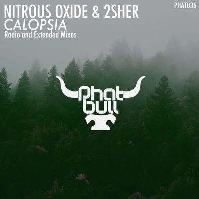 Nitrous OxideCalopsia (Radio Edit)