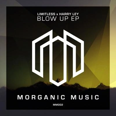 LimitlessBlow Up (Original Mix)