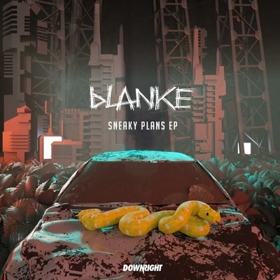 BlankeFlex