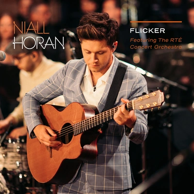 Niall HoranToo Much To Ask (Live)