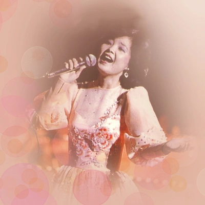 鄧麗君 (Teresa Teng)楓葉飄飄 (Album Version)