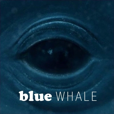 Frank Oceanblue whale