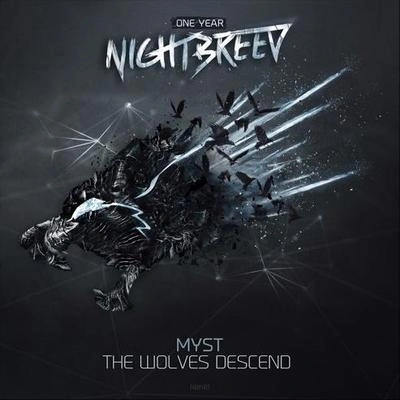 MystThe Wolves Descend (Original Mix)