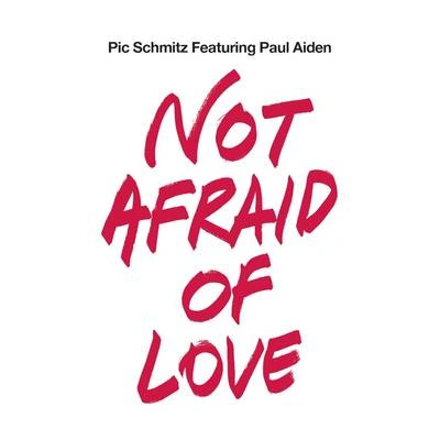 Paul AidenNot Afraid of Love (Instrumental Mix)