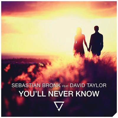 David TaylorYou'll Never Know (feat. David Taylor) (Radio Edit)