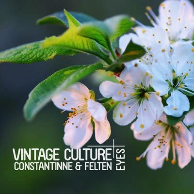 Vintage CultureEyes (Radio Edit)