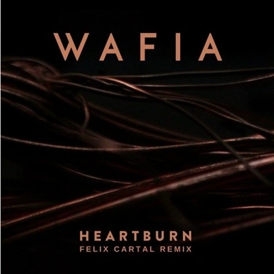 Felix CartalWafiaHeartburn (Felix Cartal Remix)