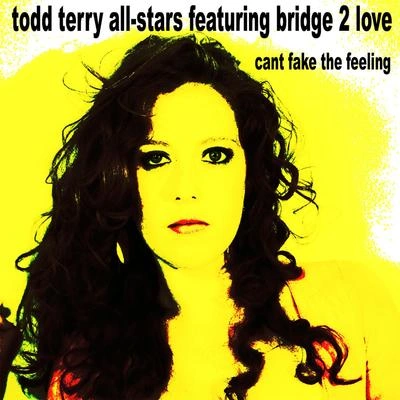 Todd TerryCan't Fake the Feeling (Tee's Soulful Mix)