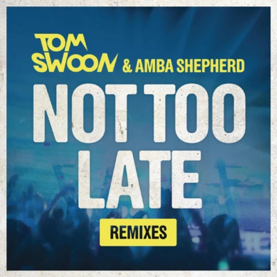 Tom Swoonnot too late (original mix)