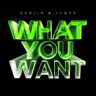 SanjinWhat You Want