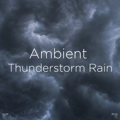 Thunderstorm SleepThunderstorm Sound Effect