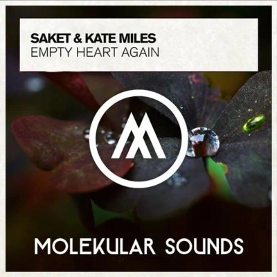 Kate Milesempty heart again (extended mix)