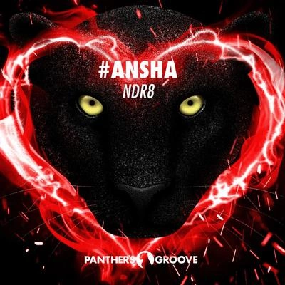 NDR8#ANSHA (Original Mix)