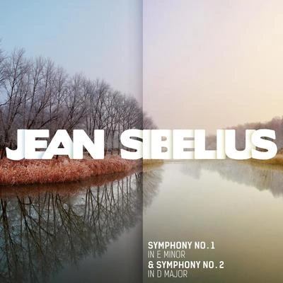 Jean SibeliusSymphony No. 1 in E Minor, Op. 39: I. Andante, ma non troppo - Allegro energico