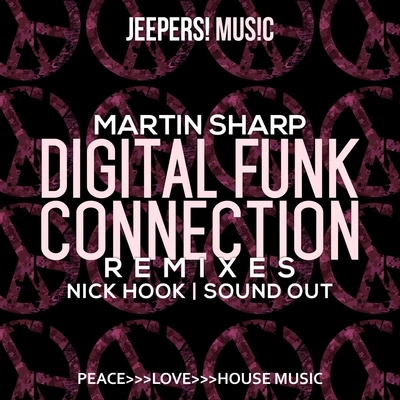 Martin SharpDigital Funk Connection (Nick Hook Remix)