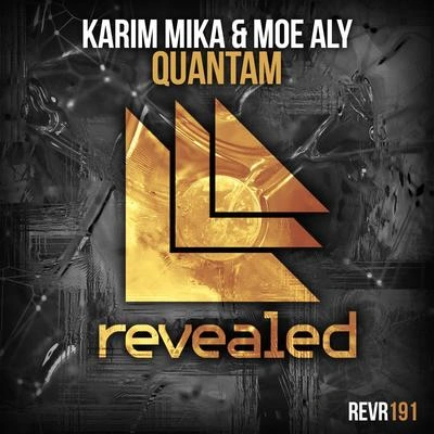 Karim MikaQuantam (Original Mix)