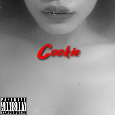 Cookieburn IT up [prod.detox]