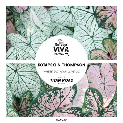 ThompsonKotapskiWhere Did Your Love Go (Thompson Edit)