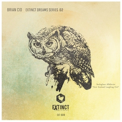 Brian CidVoices From Within (Original Mix)