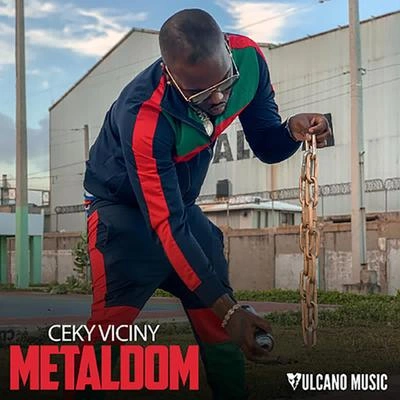 Ceky VicinyMetaldom