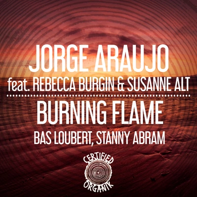 Jorge AraujoSusanne AltRebecca Burginburning flame (BA說Lou Bert remix)