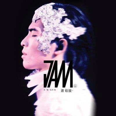 Jam Hsiao收藏 (Live)